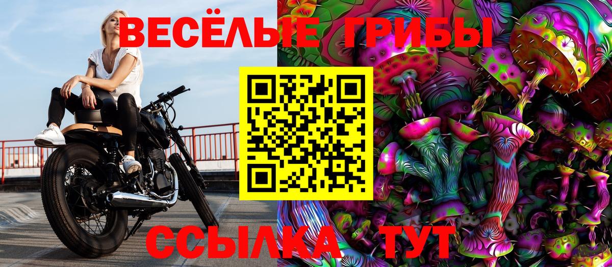 как найти наркотики  Галлюциногенные грибы Cubensis  Вход с VPN  Галлюциногенные грибы GOLDEN TEACHER  Ишимбай 
