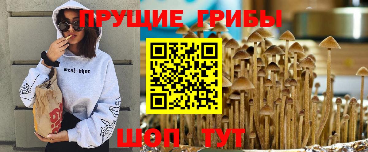 Галлюциногенные грибы ЛСД Ишимбай